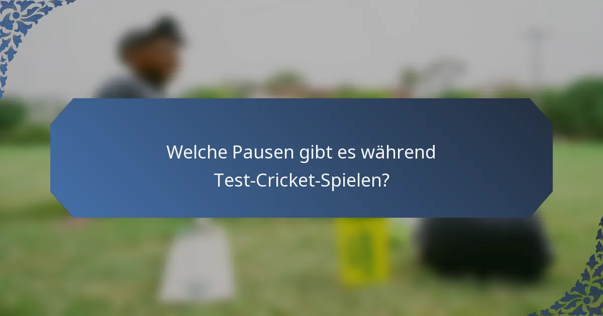 Welche Pausen gibt es während Test-Cricket-Spielen?